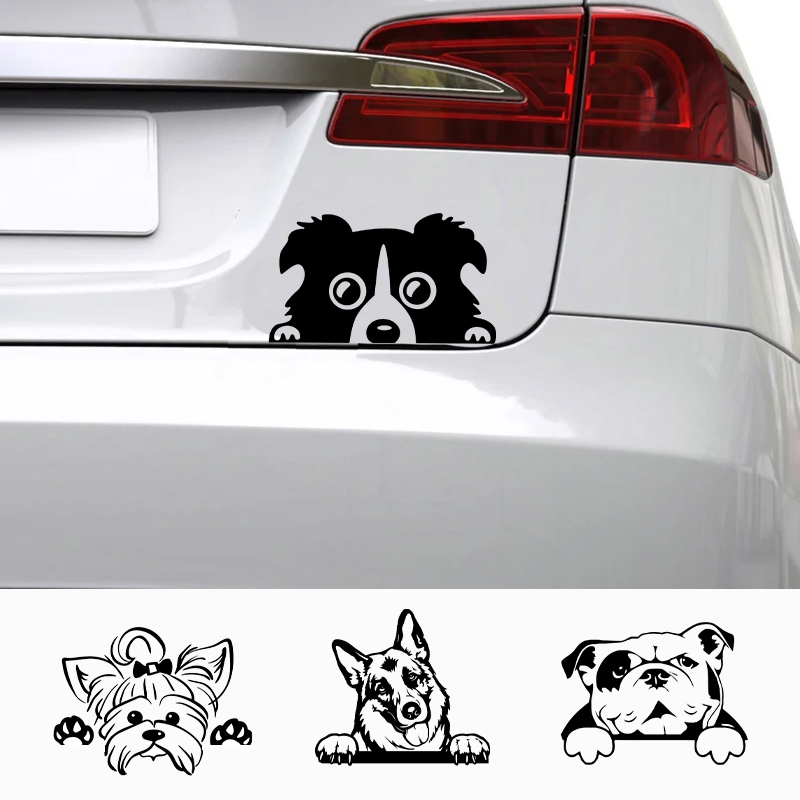 Laptop Accessories Name - Carros acessórios decalques engraçado cão com